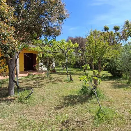 Trilocale A 150mt Da La Cinta Apartment