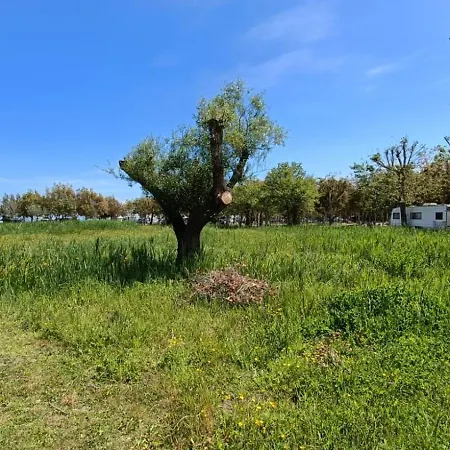 Trilocale A 150mt Da La Cinta
