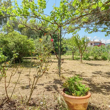 Apartment Trilocale A 150mt Da La Cinta *